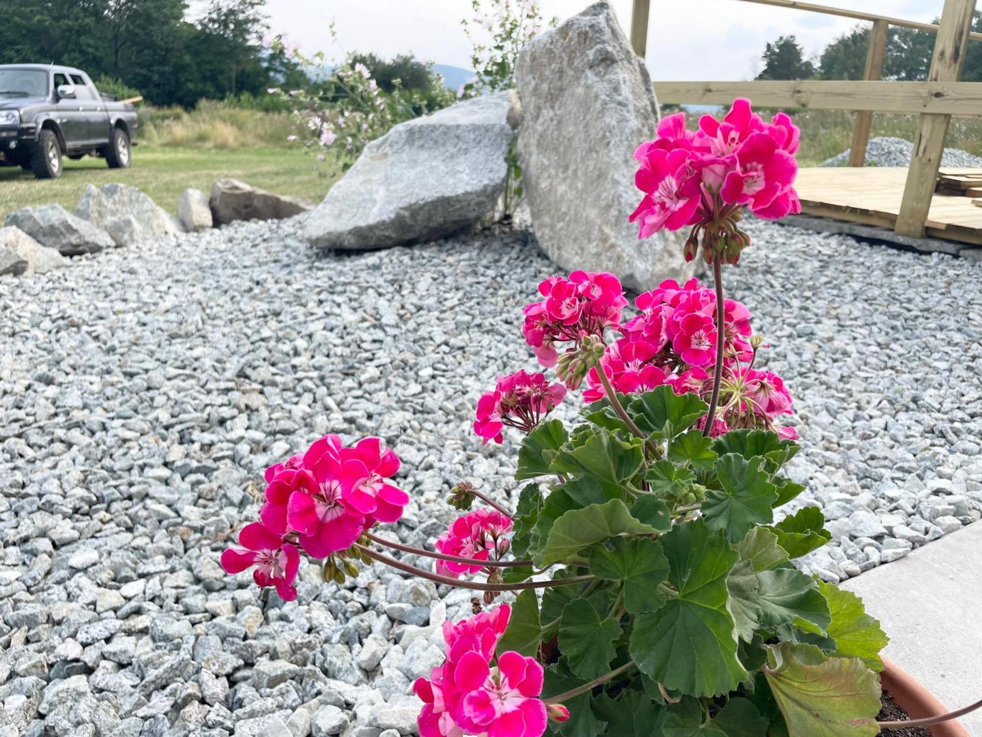 TuranyTiny House With Mountain Viewsアパートメント エクステリア 写真